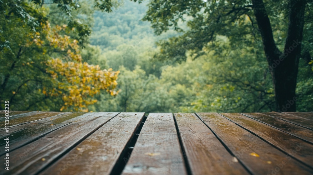 Serene Rainy Day View from Wooden Deck overlooking Lush Green Forest Serene Rainy Day View from Wooden Deck overlooking Lush Green Forest
