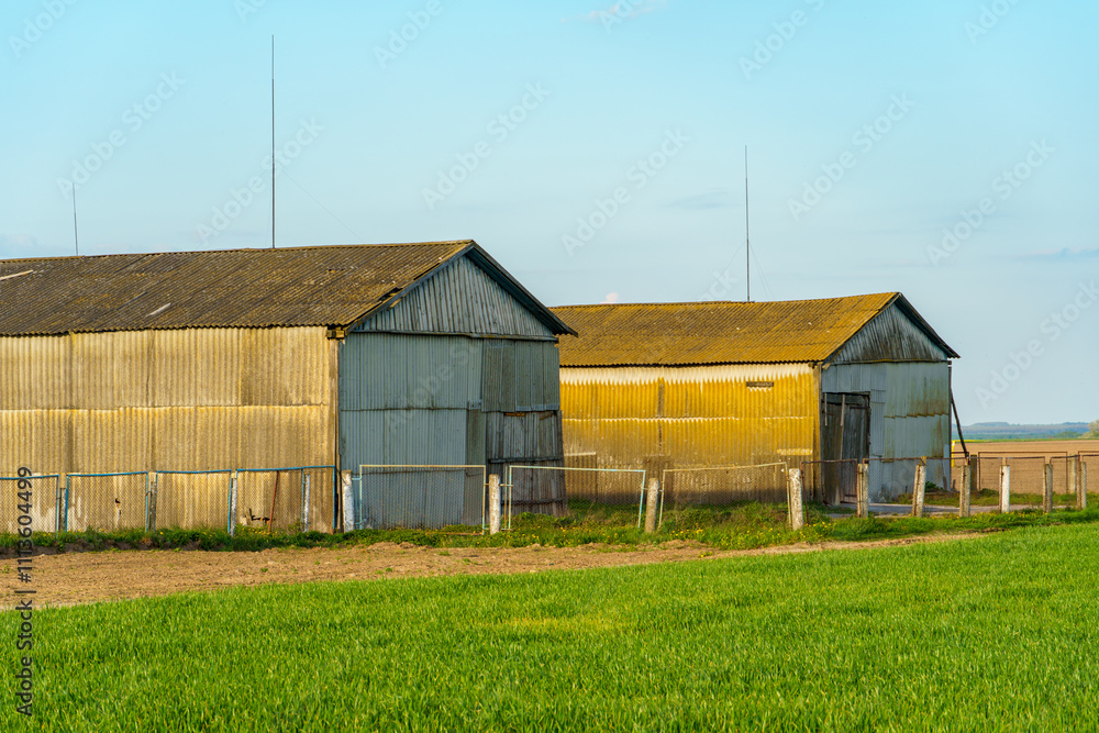 An industrial warehouse on the territory of an agricultural complex. Commercial warehouse building, cargo workshop, logistics center. An industrial warehouse on the territory of an agricultural complex. Commercial warehouse building, cargo workshop, logistics center.