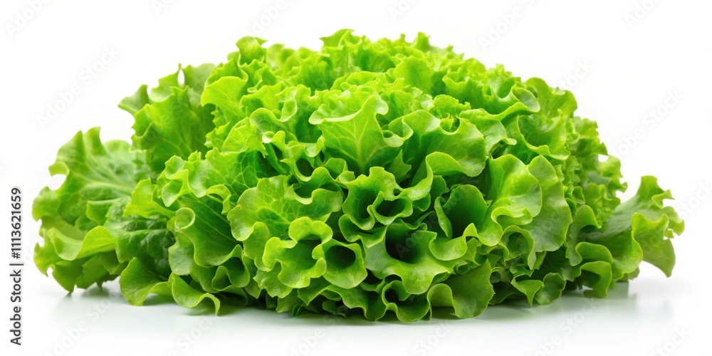 Fresh green lettuce on a white background, salad, healthy, organic, crisp, leafy, farm-fresh, vibrant, vegetarian, ingredient Fresh green lettuce on a white background, salad, healthy, organic, crisp, leafy, farm-fresh, vibrant, vegetarian, ingredient