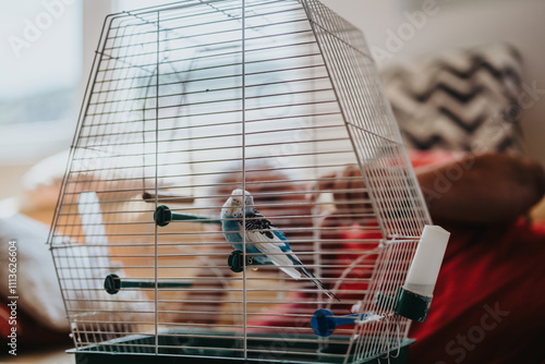 Картината върху платно A vibrant parakeet perches inside a white birdcage in a warm and inviting living room, with natural sunlight softly illuminating the scene