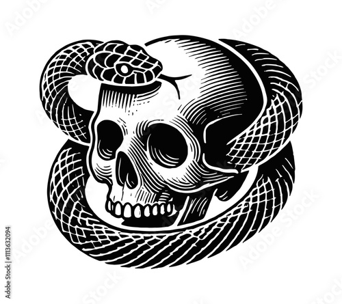 skull snake engraving black and white outline