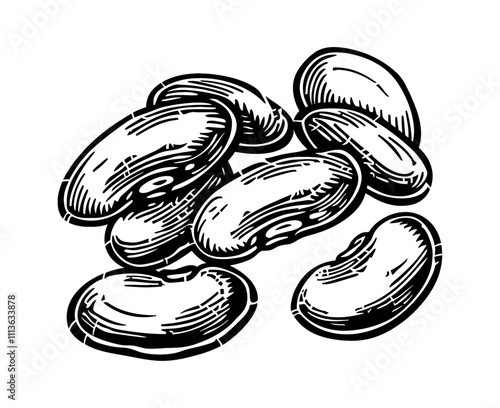 bean engraving black and white outline