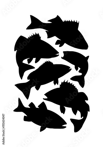 fish vector silhouette collection