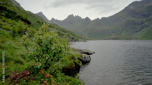 amountain lake photo