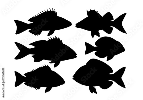 fish vector silhouette collection