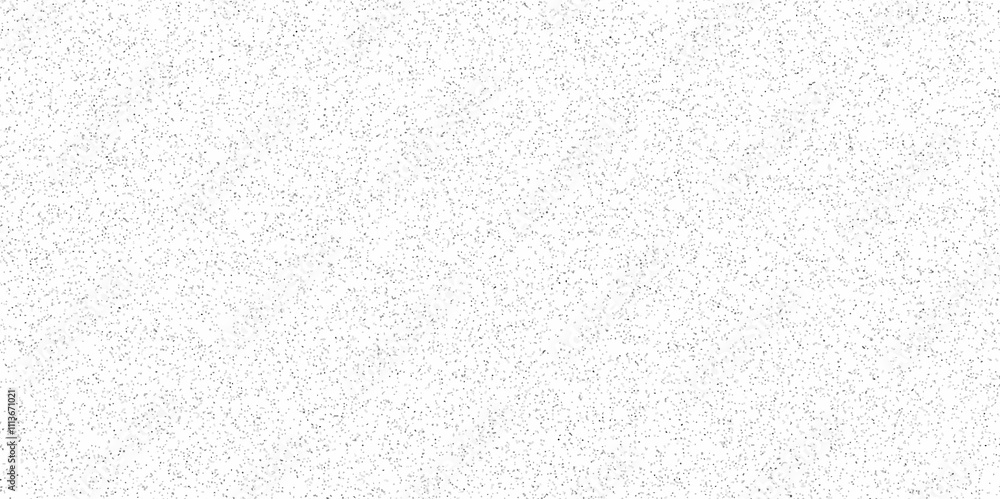 Fototapeta premium Vector noise particle white wall texture Terrazzo marble grey texture background. old grunge white and black surface gravel stone terrazzo floor texture. Rock spatter stone marble wall texture.