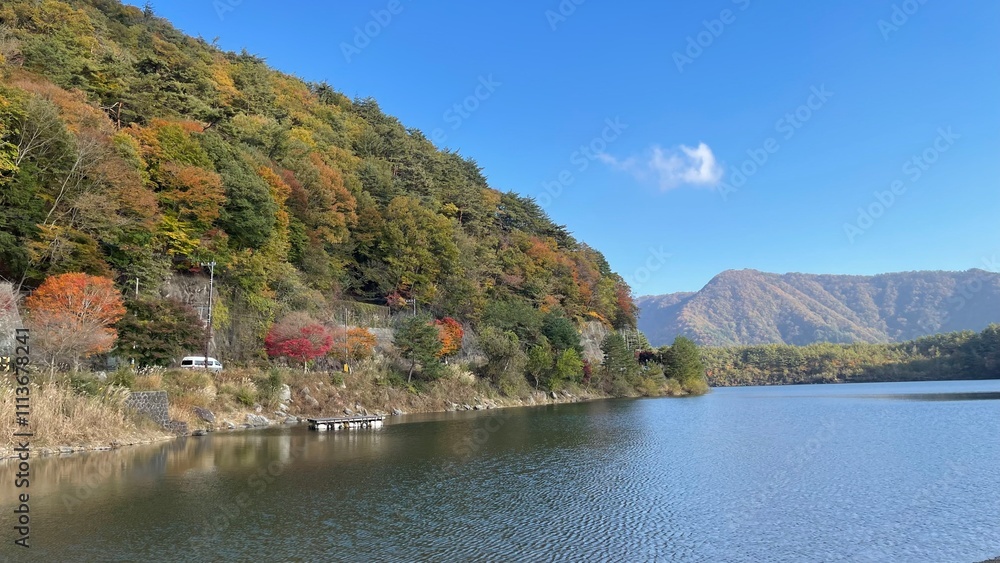 The autumn leaves are at their peak, it's the perfect time to see them The autumn leaves are at their peak, it's the perfect time to see them