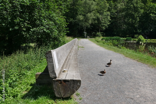 Längste Bank in Bad Schwalbach photo