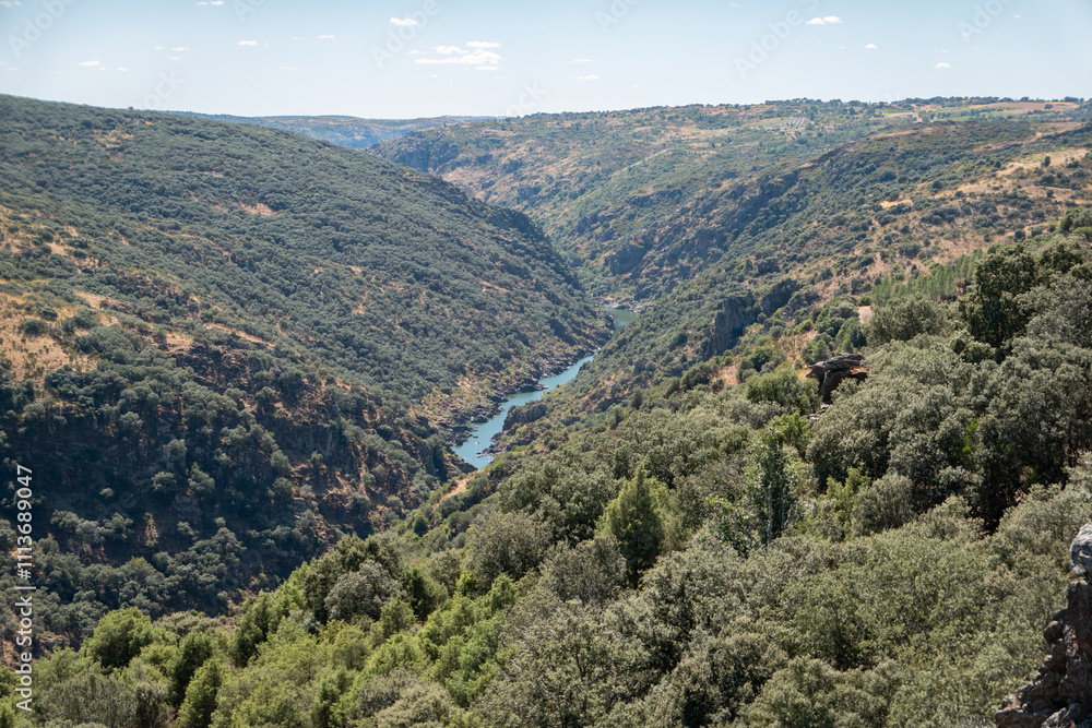 Fototapeta premium Entre verdes montanhas o rio Douro em Miranda do Douro, Portugal