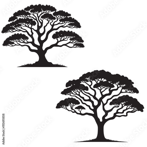  Koa Tree -  silhouette of   koa  tree  - tree silhouette - natural icon- wood icon   