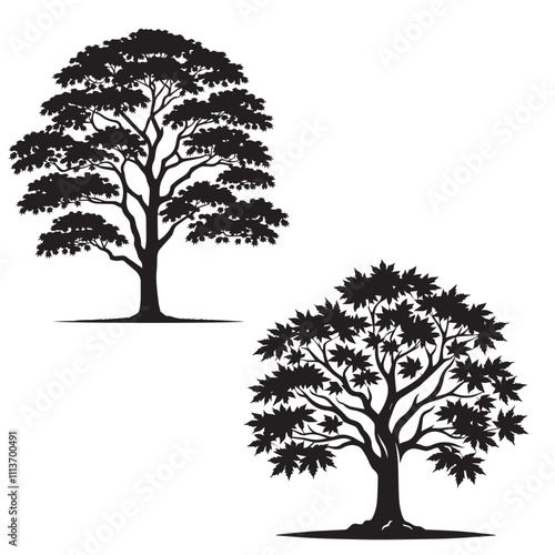 Paperbark Maple tree - silhouette of Paperbark Maple tree  - tree silhouette - natural icon