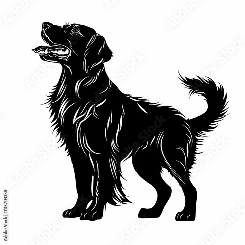 Irish Setter Dog vector logo