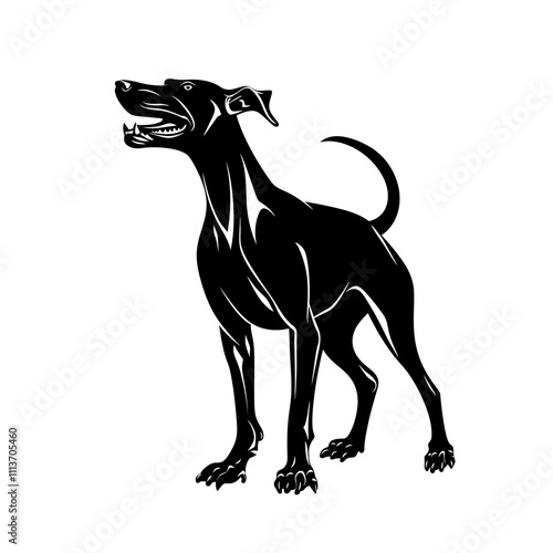 Whippet Dog vector