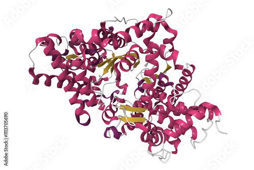 High resolution crystal structure of substrate-free human neprilysin. 3D cartoon model, PDB 6gid photo