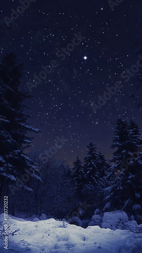 Winter Night Forest Under a Starry Sky