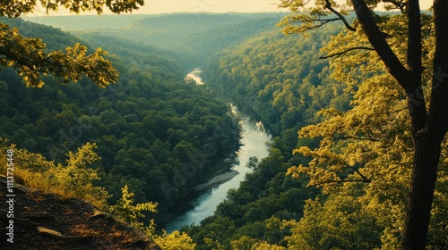 A tranquil river winds through lush green forests, illuminated by the warm glow of the setting sun in Hoosier National Forest. Nature invites peaceful reflection. photo