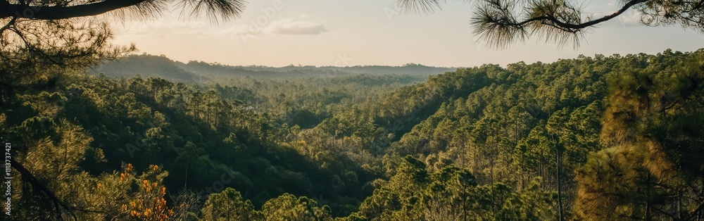The landscape reveals a breathtaking view of rolling hills covered in vibrant greenery, bathed in the warm light of late afternoon, evoking a sense of peace and connection with nature. The landscape reveals a breathtaking view of rolling hills covered in vibrant greenery, bathed in the warm light of late afternoon, evoking a sense of peace and connection with nature.