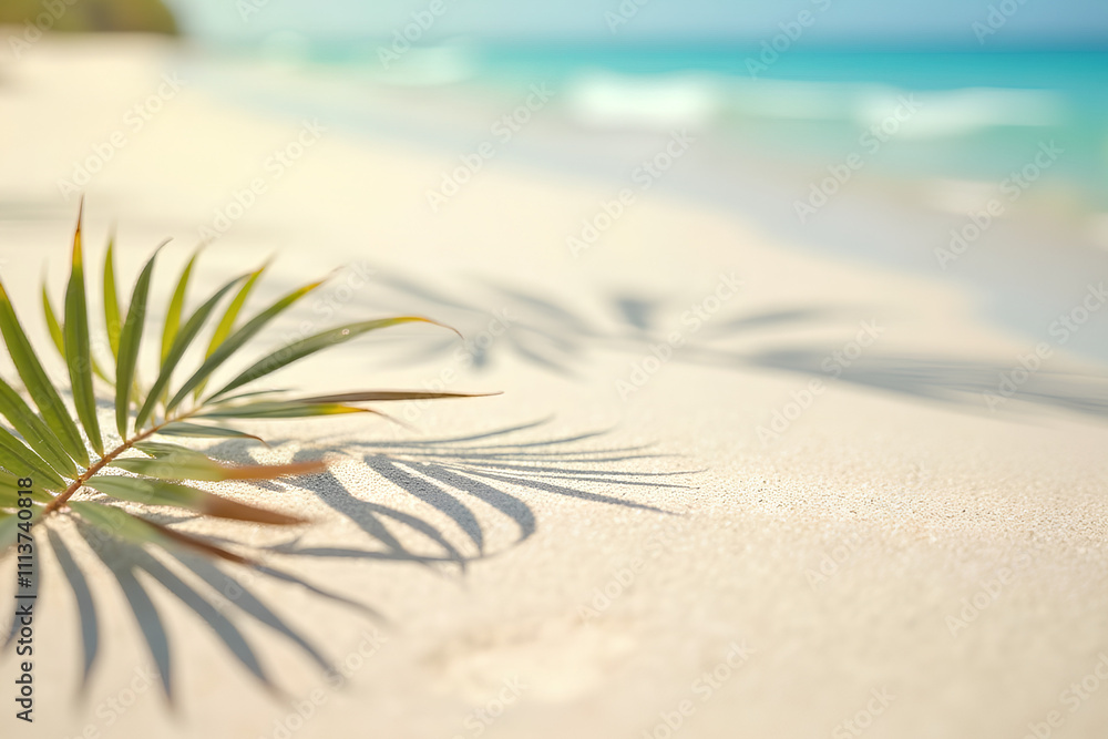 Selective focus of summer and holiday backgrounds concepts with shadow of leaf on clean sand beach Selective focus of summer and holiday backgrounds concepts with shadow of leaf on clean sand beach