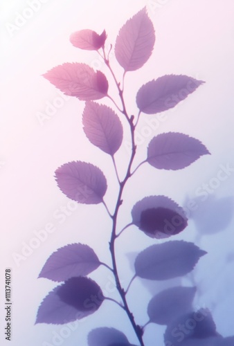 Botanical Silhouette Soft Focus Watercolor Art Dreamy Background