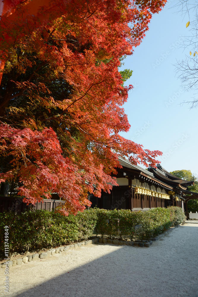 Naklejka premium 下鴨神社 紅葉の三井神社 京都市左京区