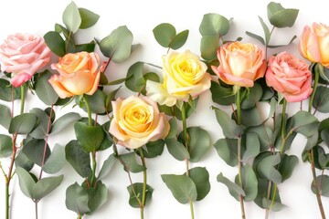 Pink and yellow roses with eucalyptus on white background.