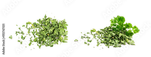 Dry Parsley Leaves Isolated photo