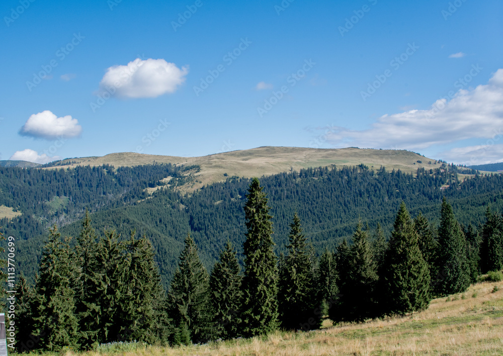 Obraz premium landscape with mountains