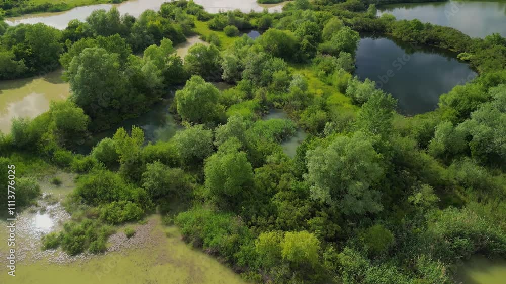 Aerial view with a delta, an ecosystem full of lakes and green willows. Amazing wild landscape seen from drone in the summer on a sunny day 4k Aerial view with a delta, an ecosystem full of lakes and green willows. Amazing wild landscape seen from drone in the summer on a sunny day 4k
