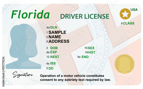 Florida driver's license with female silhouette isolated on white background. Person driver license.