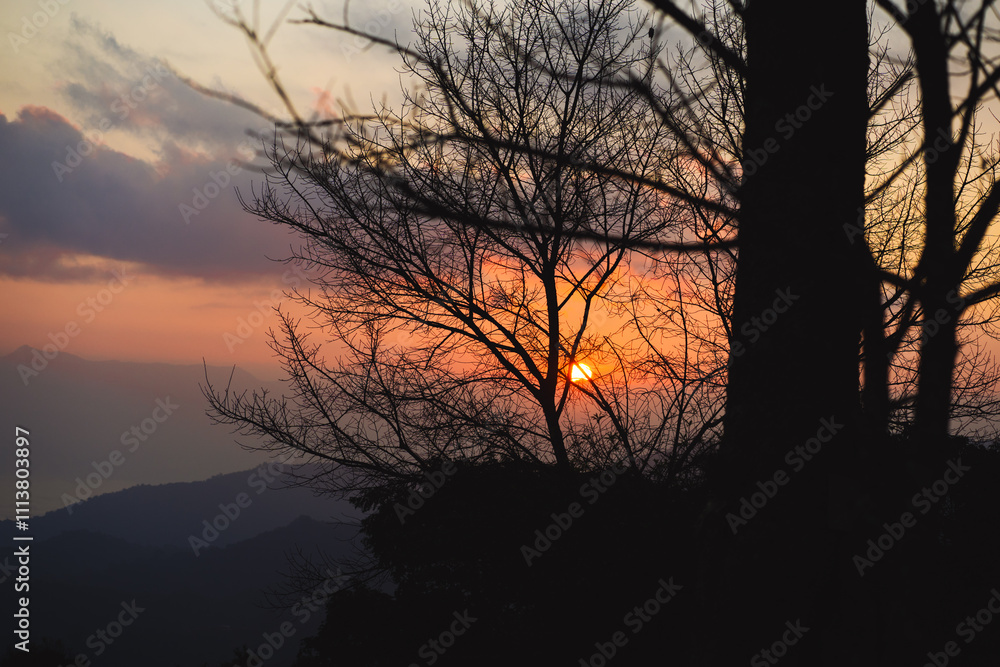 Fototapeta premium landscape and travel concept with sunrise with forest on mountain