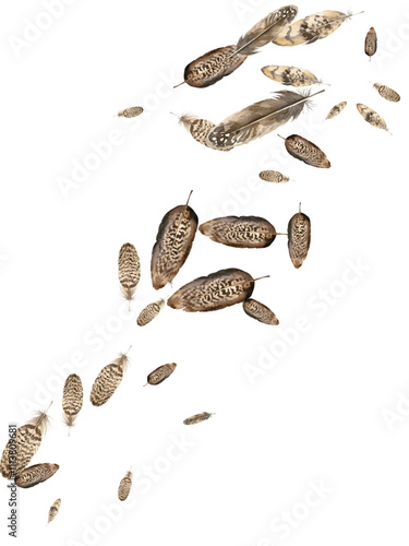 black and white beans