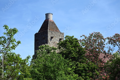 Turm am Schloss Horneck in Gundelsheim photo