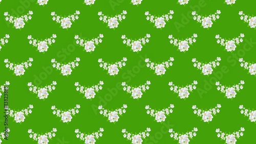 Wallpaper Mural Flower Jasmine Animated Seamless Pattern Torontodigital.ca