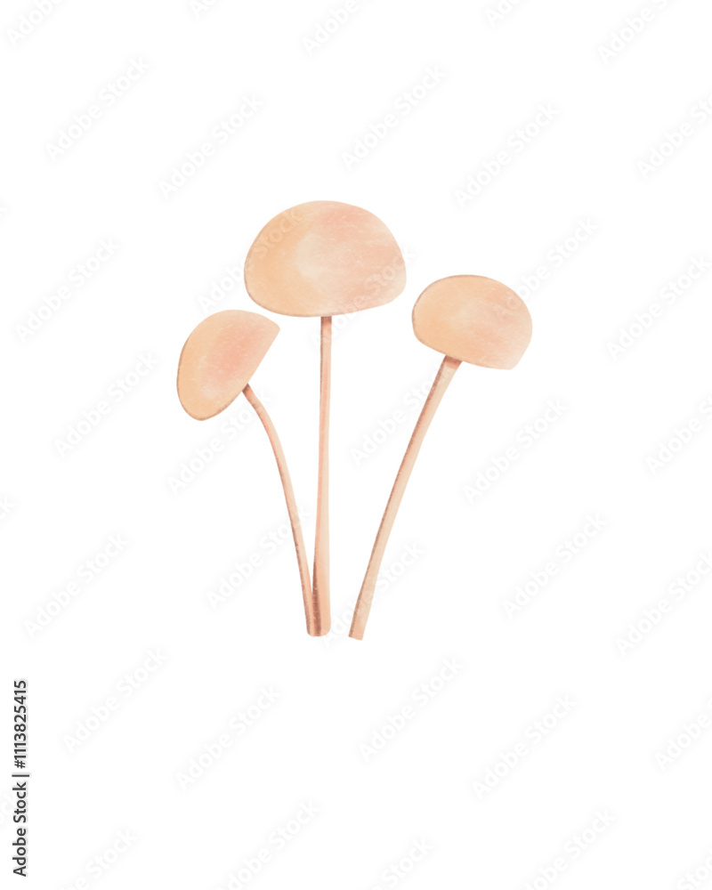 Mushroom Illustration Mushroom Illustration