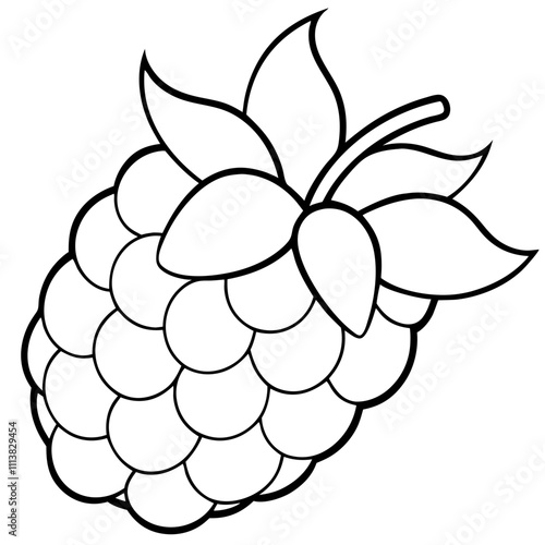 Line art of a raspberry. Vector illustration