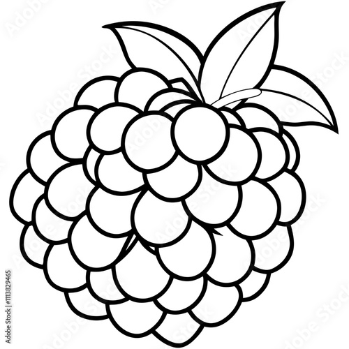 Line art of a raspberry. Vector illustration