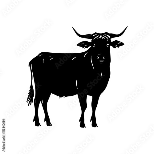 black and white oxen