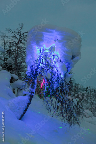 Magic forest at winter, Mysterious Forest in Murmansk region, Kirovsk, fantastic creation