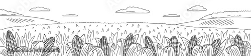 Cornfield graphic black white landscape sketch illustration long vector 