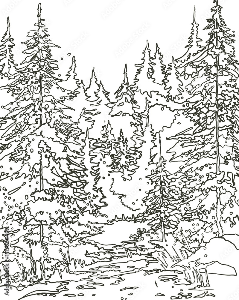 Fototapeta premium winter forest with Christmas trees dark green sketch 