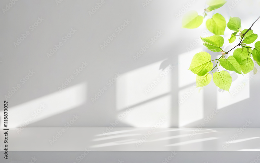 Beautiful shadow from a window and tree leaves on a white wall. Simple minimalistic natural background for presentation.