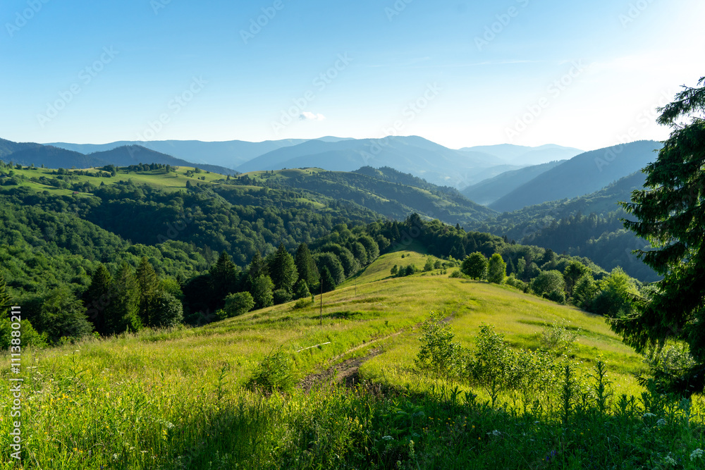 Obraz premium Beautirful background of the Summer mountain landscape