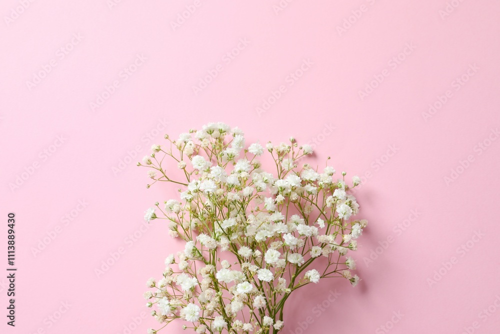 Obraz premium Top view photo with gypsophila flowers on color background 