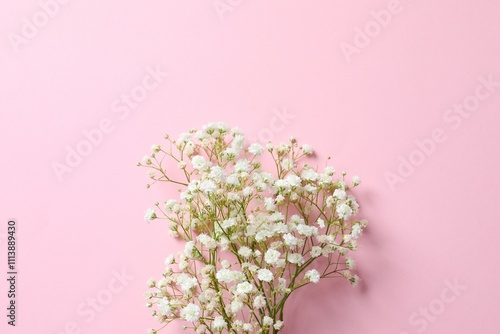 Wallpaper Mural Top view photo with gypsophila flowers on color background  Torontodigital.ca