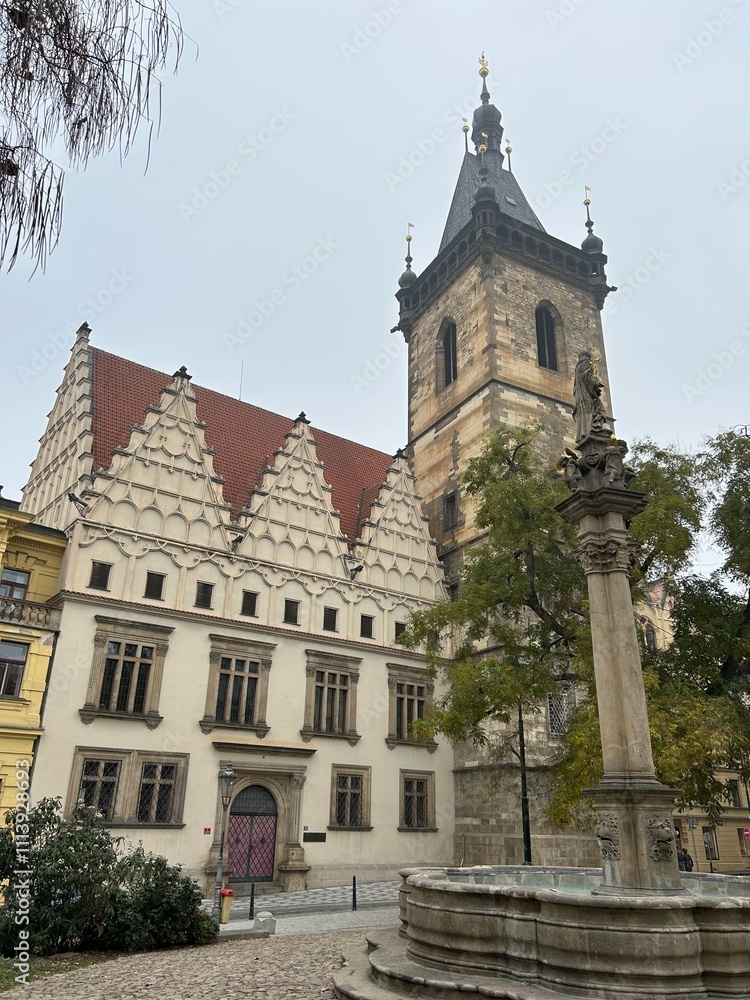 Obraz premium Prague architecture 