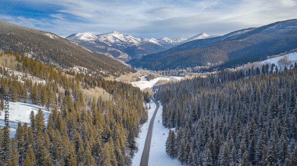 Snowy mountain with a winding road and tall trees Snowy mountain with a winding road and tall trees