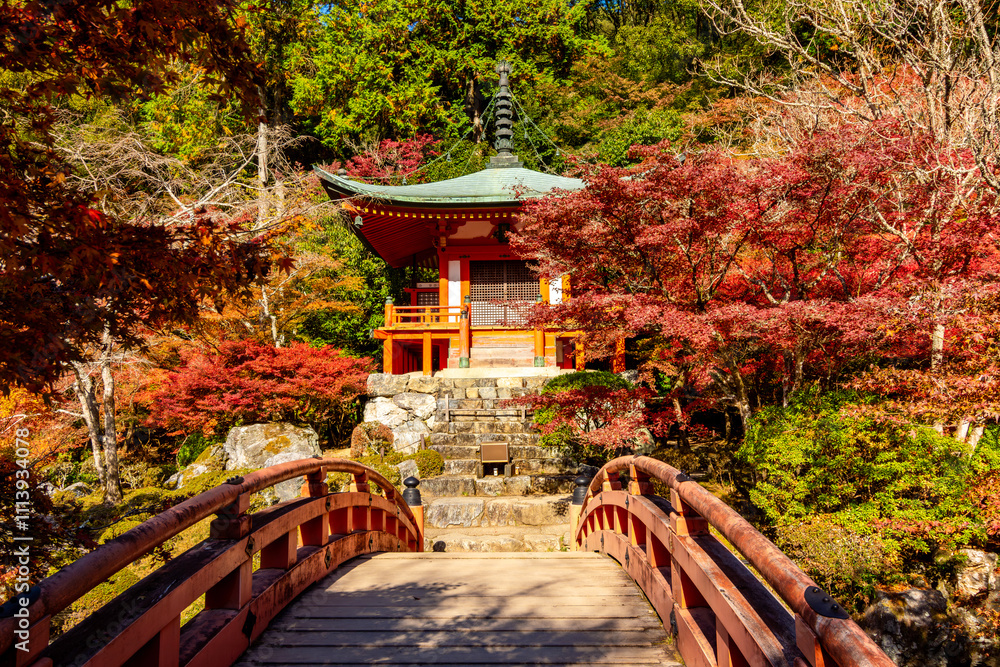 Daigo-ji Sambo-in Teien gardens in autumn, Kyoto, Japan Daigo-ji Sambo-in Teien gardens in autumn, Kyoto, Japan