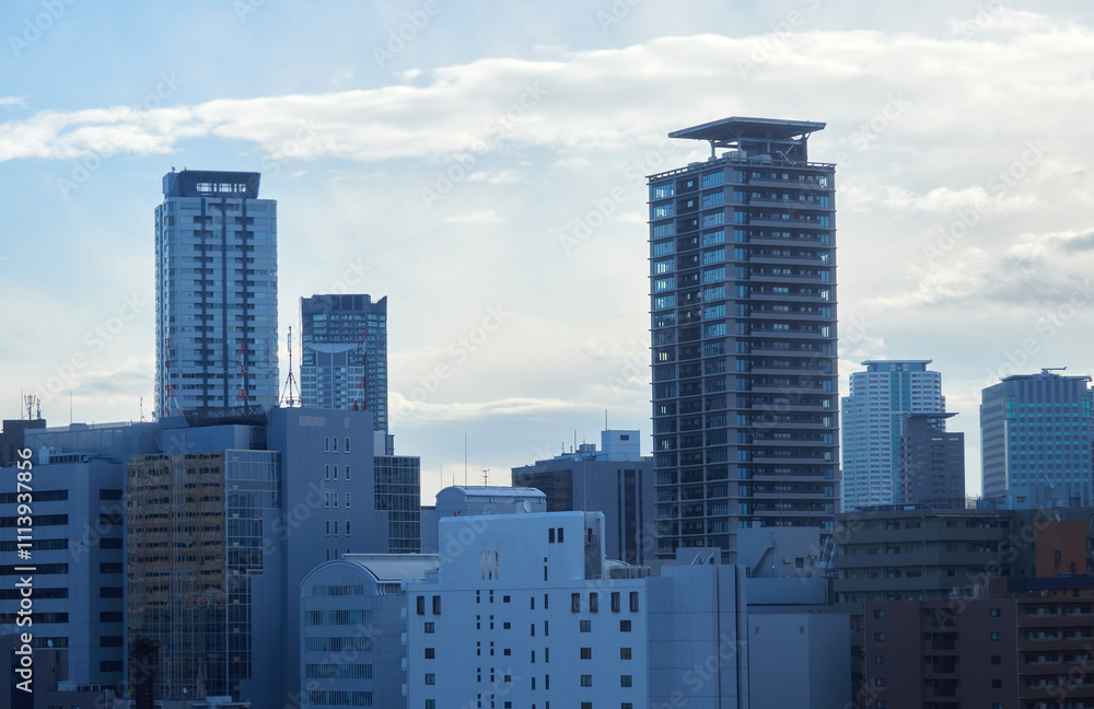 Fototapeta premium 朝の日本の都市の住宅地のビルの風景