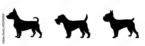 Dog black vector silhouette illustration in different poses. Isolated on a white background. A design element for presentation, business, decor, etc. photo