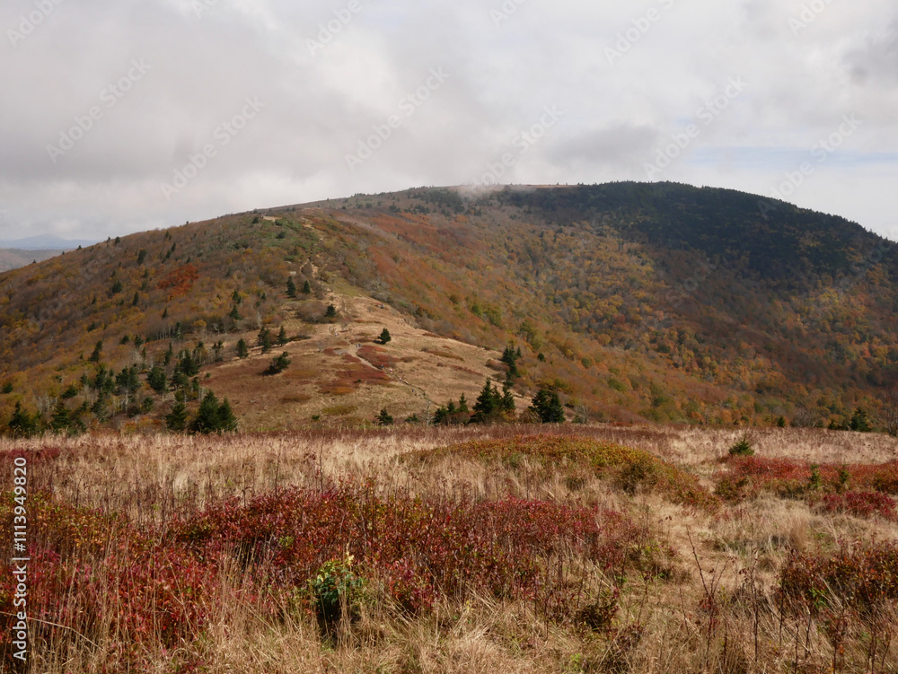 Obraz premium Fall mountain landscape